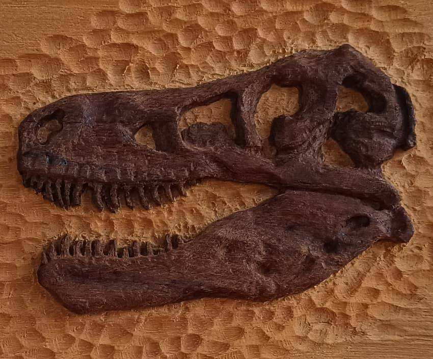 Art Mini T-Rex Fossil Closeup